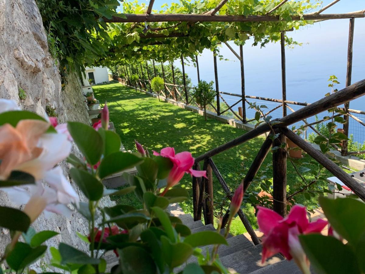 Country House Sant Alfonso フローレ エクステリア 写真